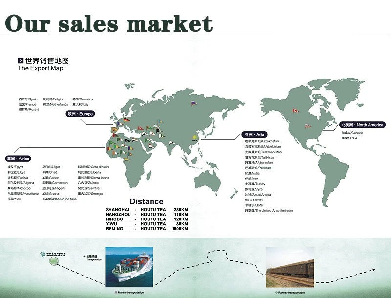 Africa and Europe market reference for Chunmee Green Tea 41022